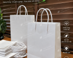Túi giấy couche cán mờ