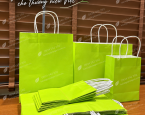 Túi giấy kraft màu xanh chuối